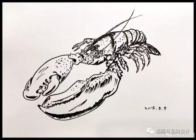1521460889249d6620238a8