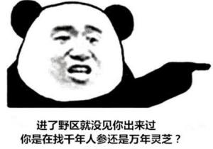 1521624244061fe78a8b547