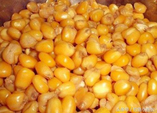 钓鱼大师推荐一款草鱼饵料及窝料配方，必杀技一举爆护！-2.jpg