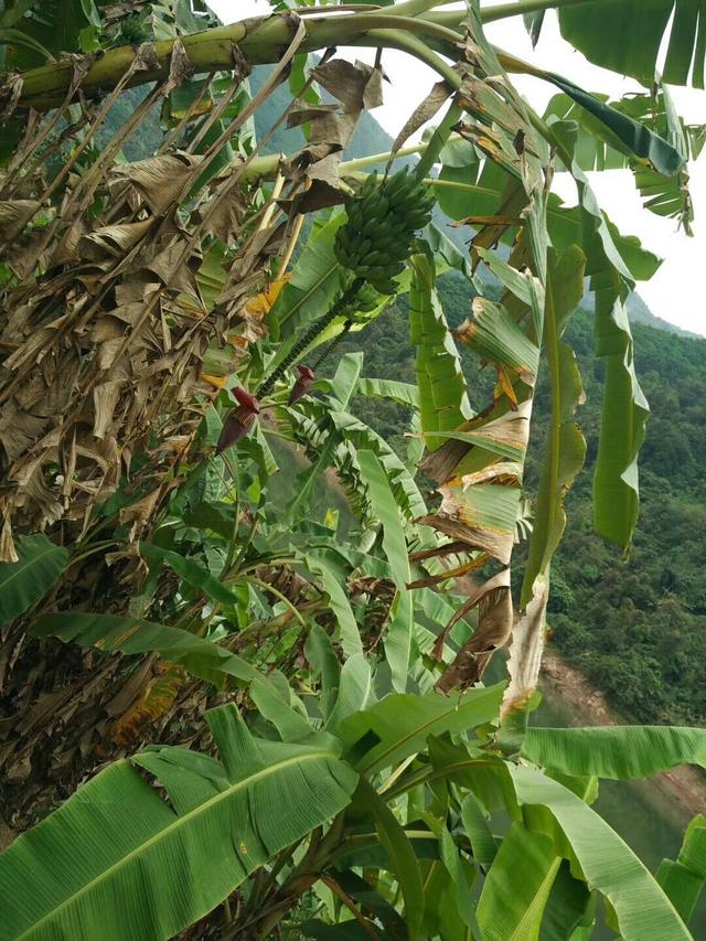 这些云南特色的美食 有没有你知道的-6.jpg