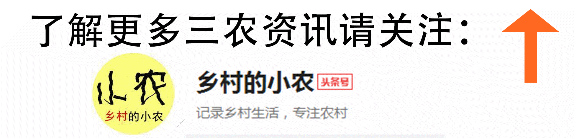 2018年，各地最新赌博处罚标准出台，怎样娱乐才不算赌博？-1.jpg