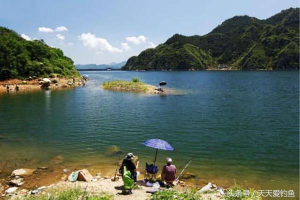 这些实用技巧让台钓更适合野钓环境，钓鱼老司机20年经验总结-2.jpg