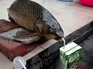 爆笑 瞬间-3.jpg