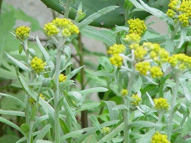 清明节，你不能错过的美食-3.jpg