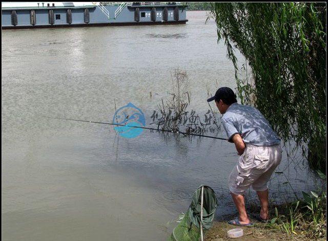 悠仙钓鱼学堂：为什么说下风口好钓鱼？-3.jpg