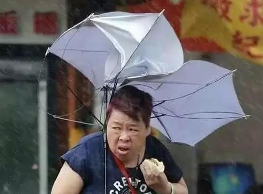 搞笑段子:熊孩子,不要这么调皮,小姐姐的衣服都要被你扯掉了-6.jpg