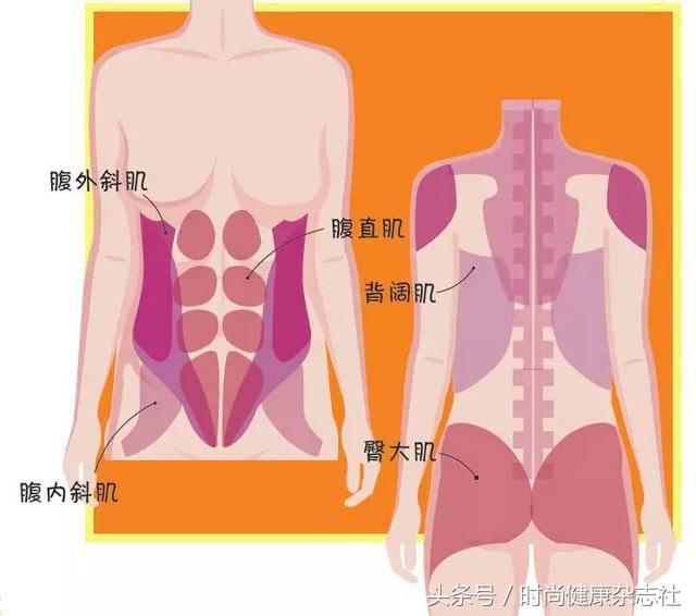 瘦小腹练核心 维秘超模教你练-4.jpg