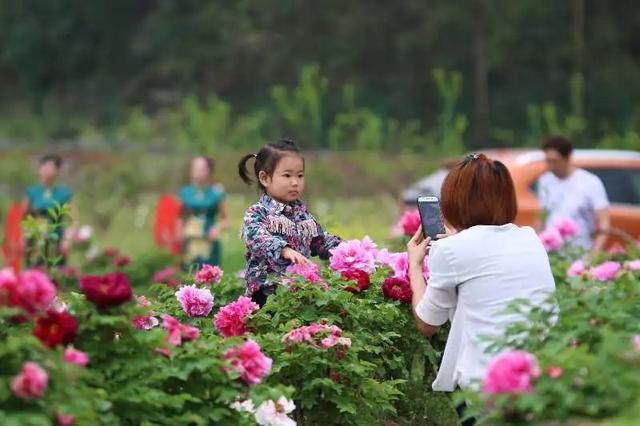 梅花蹲完，樱花蹲；樱花蹲完，桃花蹲；桃花蹲完，梨花蹲；梨花蹲完，郁金香蹲；郁金香蹲完，牡丹花蹲！-5.jpg