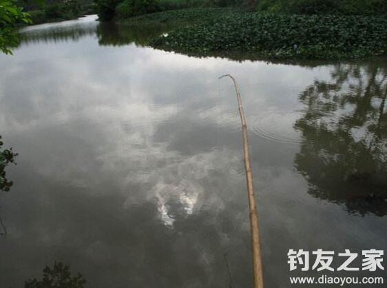 清明假期钓鱼全攻略-1.jpg