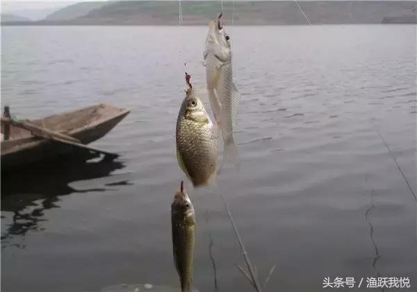 钓鱼时，怎样防止鱼散窝-2.jpg