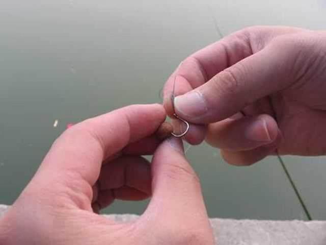 鱼没有开口？也许要看看钩尖上这点小细节处理好了么-2.jpg