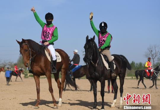 2018国际马术耐力赛在“梨都”砀山扬鞭开赛-1.jpg