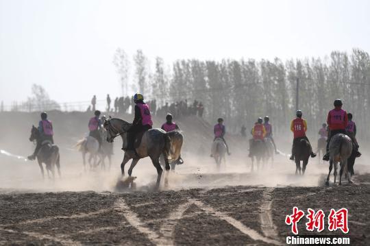 2018国际马术耐力赛在“梨都”砀山扬鞭开赛-4.jpg