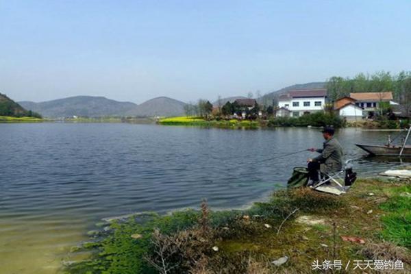 野钓环境复杂，每次抛竿浮漂钓目都不同，应该如何正确抓鱼口呢？-1.jpg