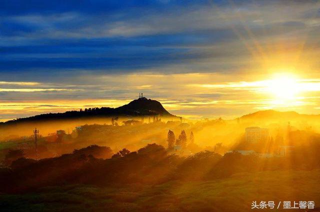 最精美的风景摄影（黄色美景，太美了，快分享给朋友吧！）-15.jpg