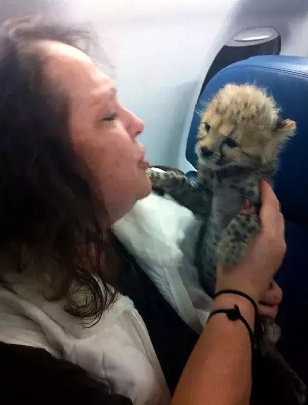 狗、猪、鹰、蛇？这年头，啥都能带上飞机了？国际友人的心真大-22.jpg