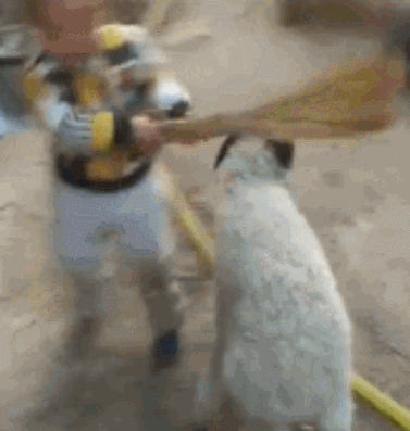 搞笑gif：现在的小学生真是越来越玩的开了-1.jpg