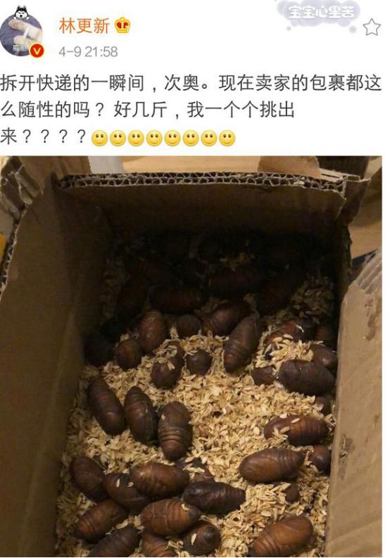 林更新怎么这么搞笑！网购蚕蛹还给卖家物流打一颗星！-2.jpg