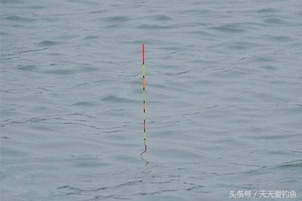 钓鱼多年，才知道流水走漂应该这么调漂-5.jpg
