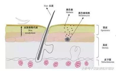 皮肤美容宋丽秋：春季如何拒绝万“斑”宠爱？-4.jpg