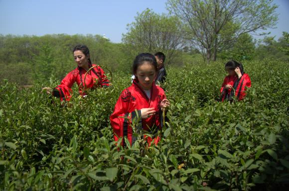 亲子旅游好去处--秀美山水、悠悠茶香，南湾湖上找茶忙-5.jpg