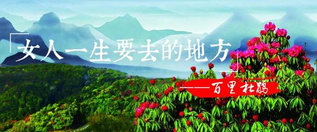 「摄影技巧」花开成海，油菜花拍摄技巧大全！-18.jpg