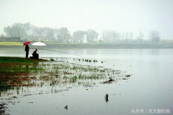 野钓看天，钓鱼老手经验之谈，这些天气都会让你渔获翻倍-2.jpg