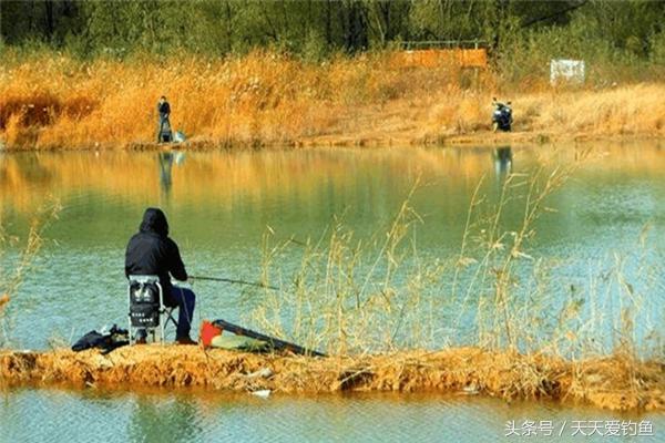 野钓看天，钓鱼老手经验之谈，这些天气都会让你渔获翻倍-4.jpg