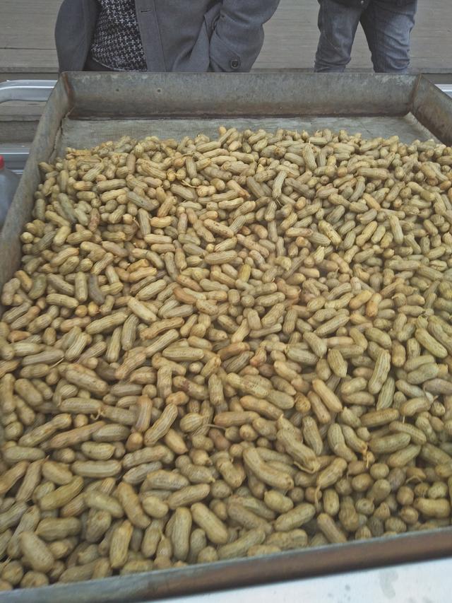 大小吃货一起去品美食喽！-13.jpg
