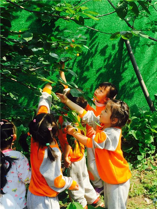 我们手拉手 一起来播种——雨城区一幼解放路园区与多营镇幼儿园联合开展亲子种植”主题活动-2.jpg