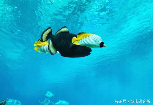 李小鹏、贾乃亮带娃住过的三亚亲子酒店，普通人住得起吗？-15.jpg