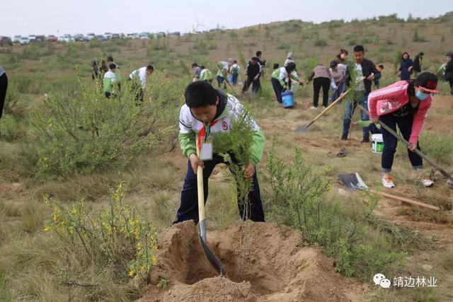 靖边县亲子植树活动完美收官-12.jpg