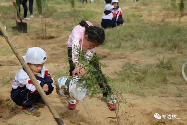 靖边县亲子植树活动完美收官-23.jpg