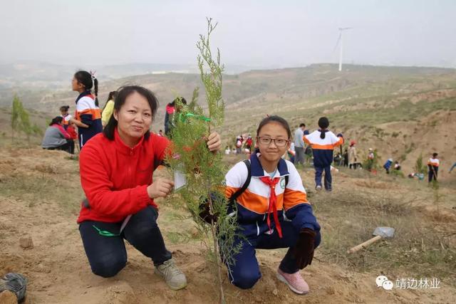 靖边县亲子植树活动完美收官-44.jpg