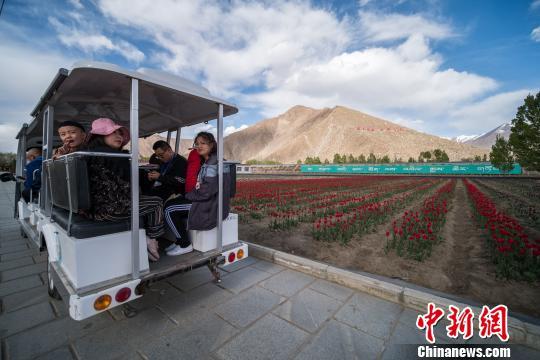 西藏拉萨净土健康产业助农牧民增收-1.jpg