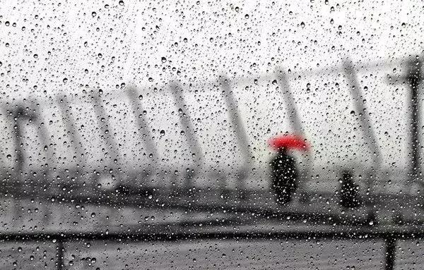七个摄影小技巧，让你在雨天也能拍出好照片-14.jpg