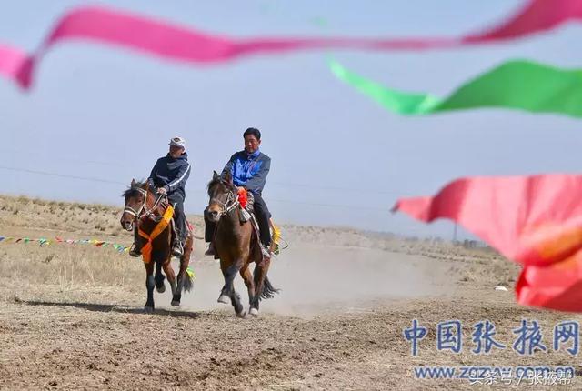 「爱摄影」肃南：春风送暖马蹄疾-11.jpg