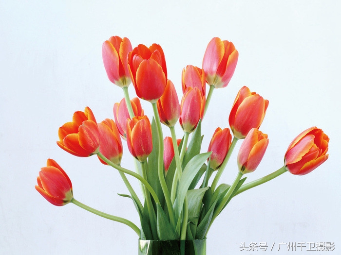 摄影技巧 9种不同光线在摄影中的表现-13.jpg