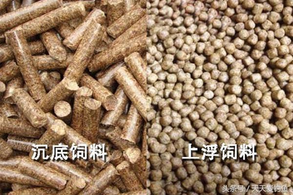 钓鱼发愁用什么饵？详解原塘颗粒的正确用法，以后不用买饵料了-2.jpg