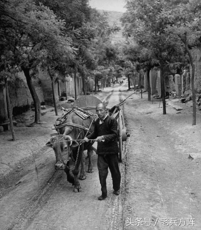 美国《生活》杂志记者拍摄的1947年中国民生百态-11.jpg