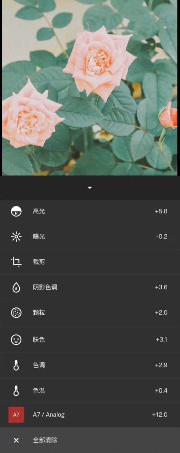 手机摄影调色丨VSCO 清新风调色教程合集 步骤见图-4.jpg