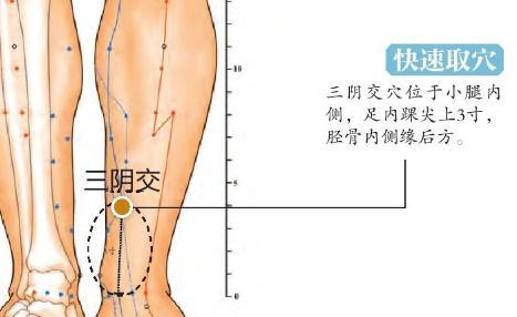 美颜美容，推荐一个穴位-2.jpg