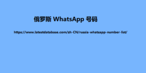 Whatsapp-04.11.2023-300x150.png