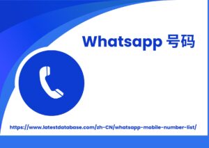 Whatsapp-%E5%8F%B7%E7%A0%81-300x213.jpg