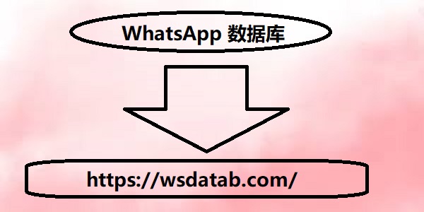 wsdatab.jpg