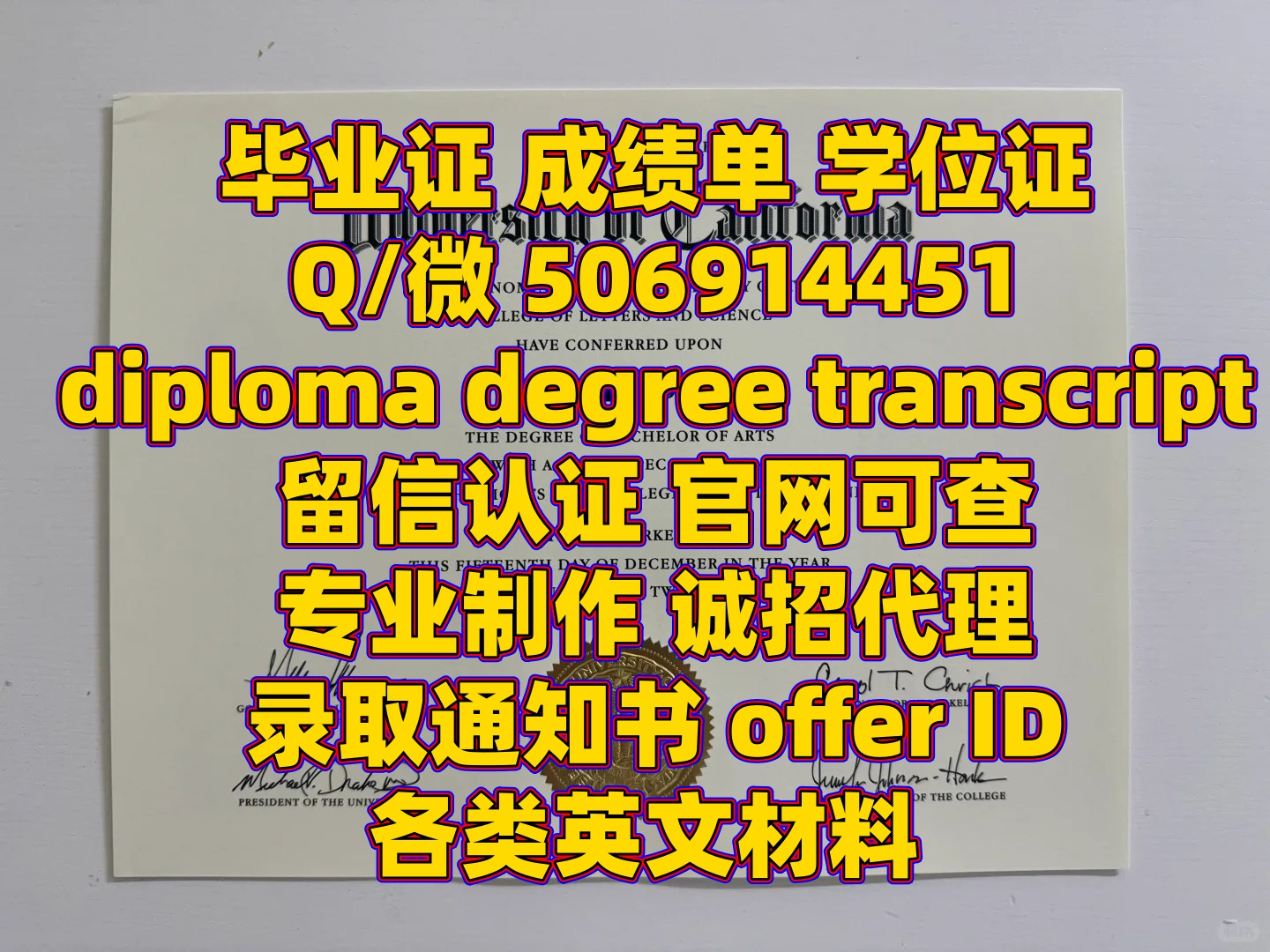 diploma (91).jpg